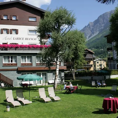 Otel Larice Bianco 3*