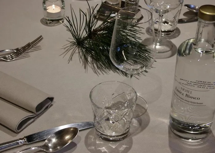 Hotel Larice Bianco 3*