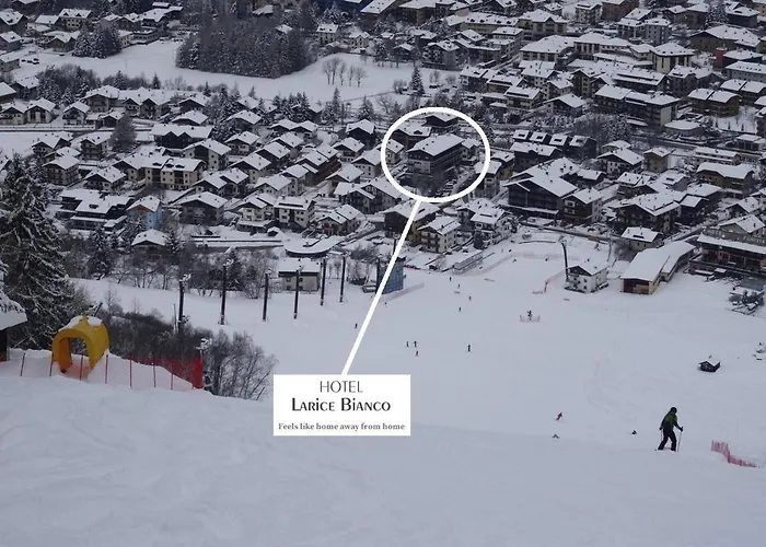 Hotel Larice Bianco 3*